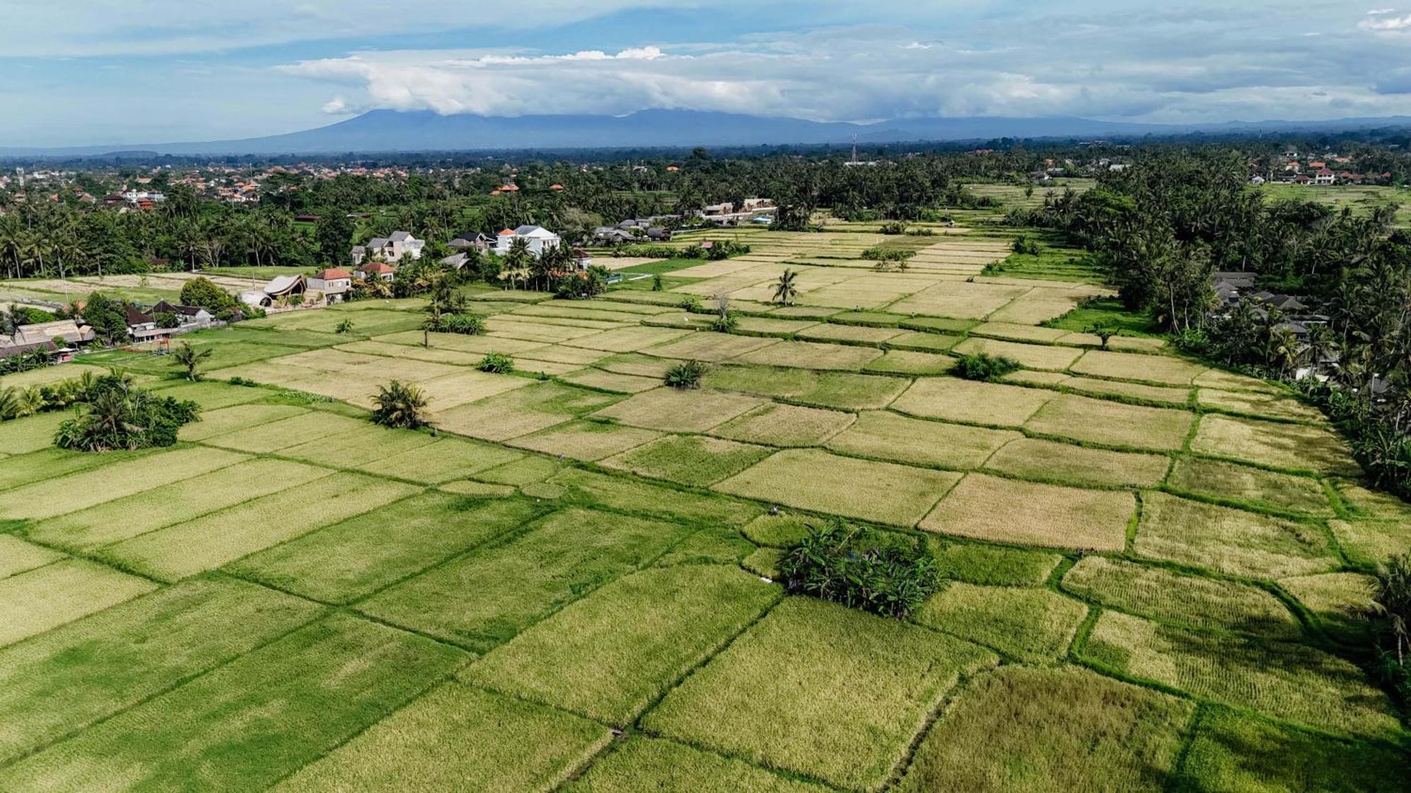 Weda Villas Ubud  Luaran gambar